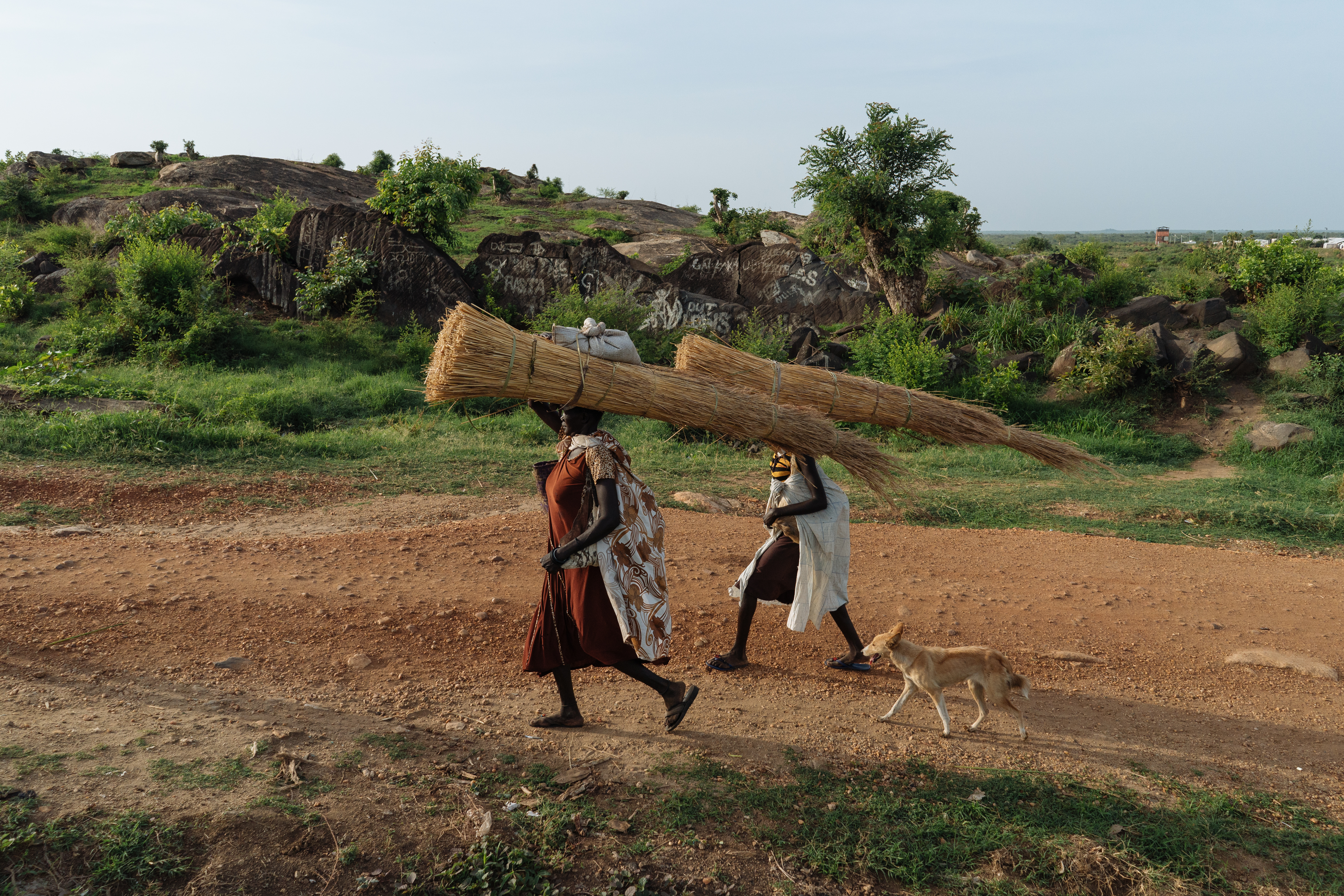 Women return home to the camp after collecting firewood.