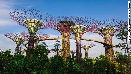 Gardens by the Bay is one of Singapore&#39;s many green intiatives. The &#39;supertrees&#39; act as vertical gardens, featuring tropical flowers and solar panels.