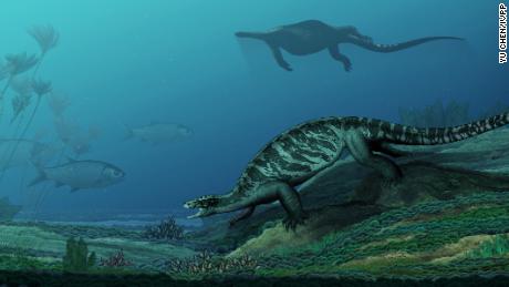 This 228 million-year-old turtle didn't have a shell