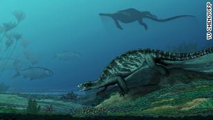 This 228 million-year-old turtle didn&#39;t have a shell