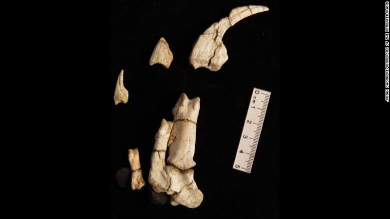 180823170135-04-alvarezsaur-ancient-finds-exlarge-169.jpg