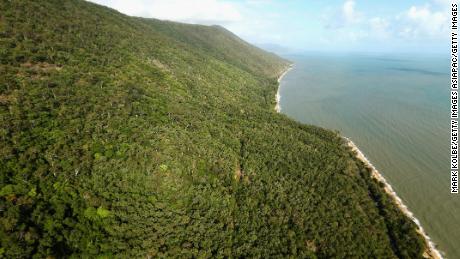 The suspected asylum seekers are believed to have come ashore in heavily wooded north Queensland. 