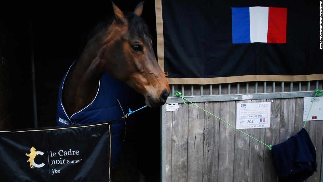 Deauville Normandy's horse celebration CNN Video