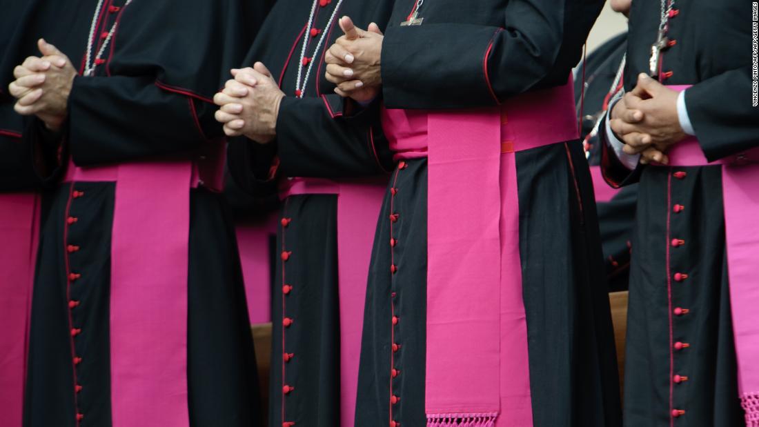 Vatican orders US bishops to delay taking action on sexual abuse crisis 