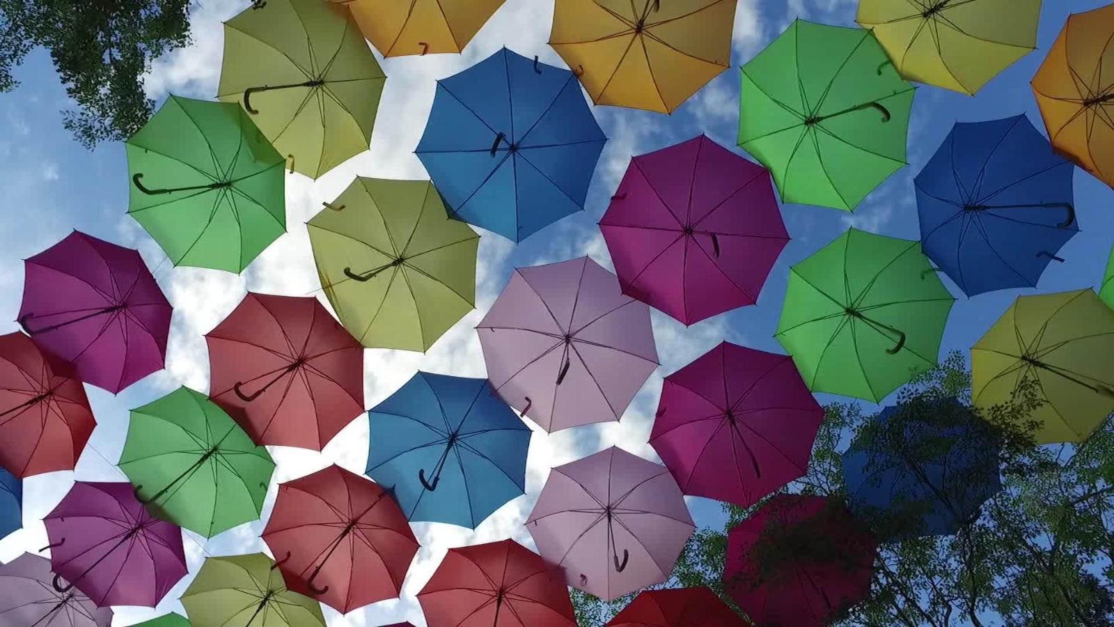 Butterfly de CalleaDesign - Cuidamos tus paraguas 