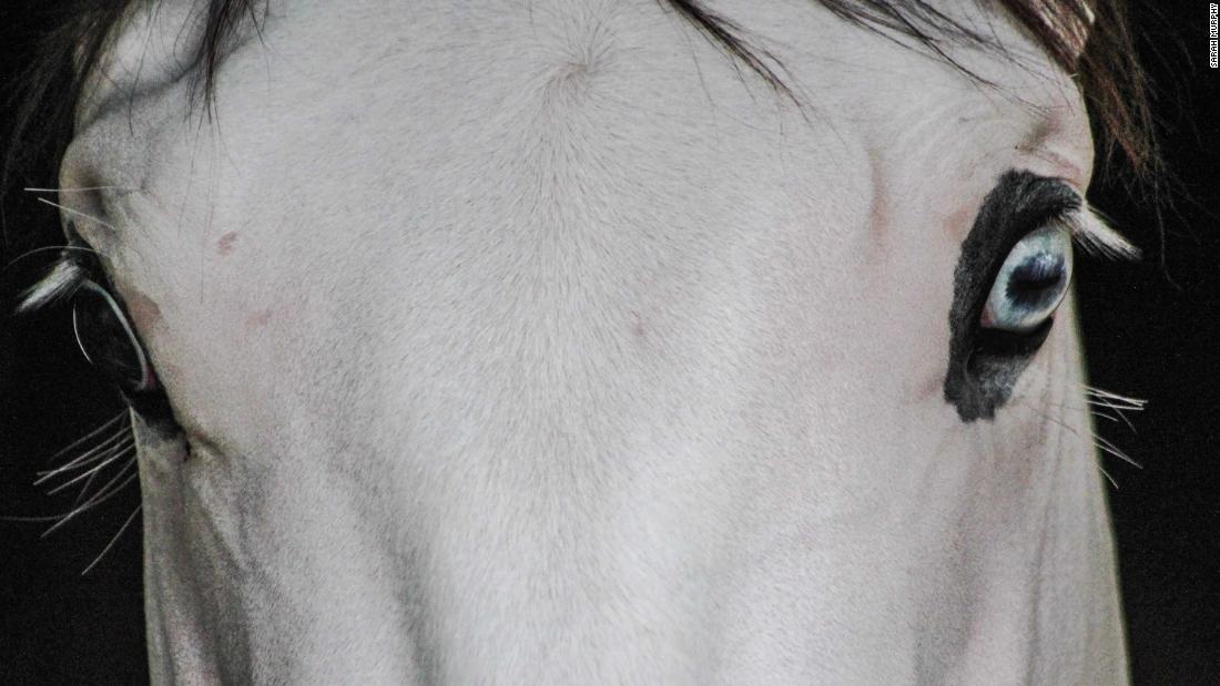 Southern Phantom&#39;s entire face is white, with mismatched blue and brown eyes. Professor and director of the Veterinary Genetics Laboratory at UC Davis, Rebecca Bellone, tells CNN that it&#39;s not unusual for a horse to have different colored eyes if they have extensive face markings. &quot;Typical of other horses, on Southern Phantom the side of the face with the blue eye has more white than that with the brown eye,&quot; she notes.