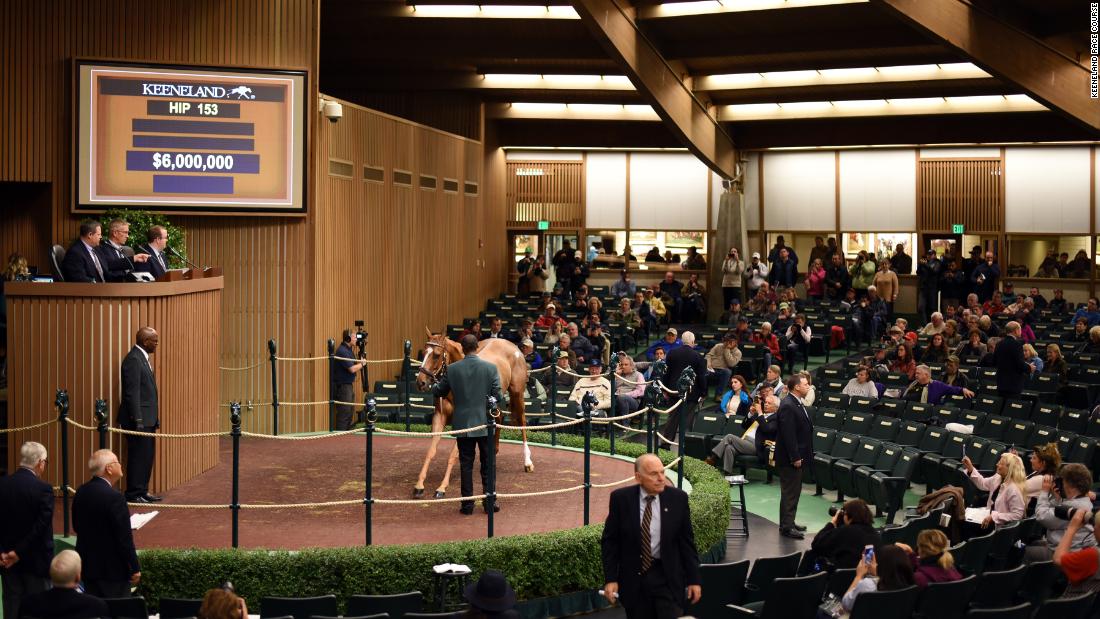 When it comes to purchasing a horse, Elliston says some buyers wait until the very last moment -- the horse&#39;s final test is whether it can stay calm amidst the bidding excitement. &quot;It&#39;s indicative of how a horse may behave on a big race day,&quot; he says.