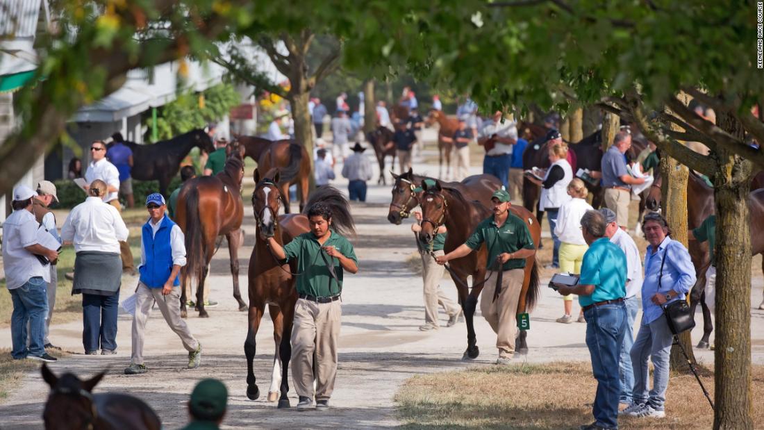 At Keeneland&#39;s 2018 September Yearling Sale, more than 4,500 thoroughbreds will go under the hammer. For 13 days, hundreds of people visit its grounds inspecting each horse. &quot;They&#39;re looking at how they walk, they look at their coat and how shiny it is, they look at their muscular confirmation,&quot; Bob Elliston, Keeneland&#39;s vice president of racing and sales, tells CNN Sport.