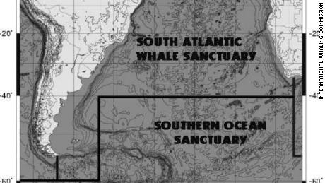 Limits of the proposed South Atlantic Whale Sanctuary.