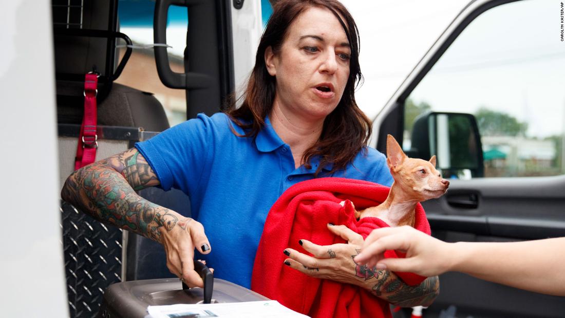 Laura Gretch holds Frances, a Chihuahua mix, as she helps unload cats and dogs arriving at the Humane Rescue Alliance in Washington from Norfolk, Virginia, on September 11.