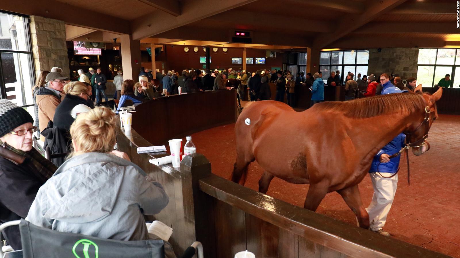 Keeneland Yearling Sale The 'Superbowl' of thoroughbred auctions