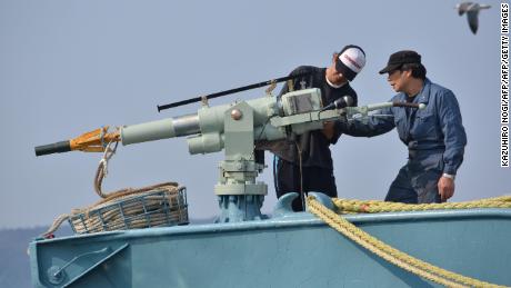 A whaler's crew check the ship's harpoon before departure at Ayukawa port in Ishinomaki City in 2014.