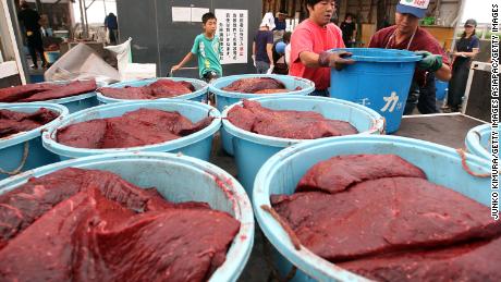 Workers carry containers full of whale meat cut from a Baird&#39;s Beaked Whale at Wada Port in Minamiboso, Chiba, Japan in 2009.