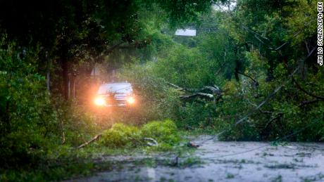 Hundreds of trees collapsed from the storm in coastal North Carolina, including these in Wilmington. 