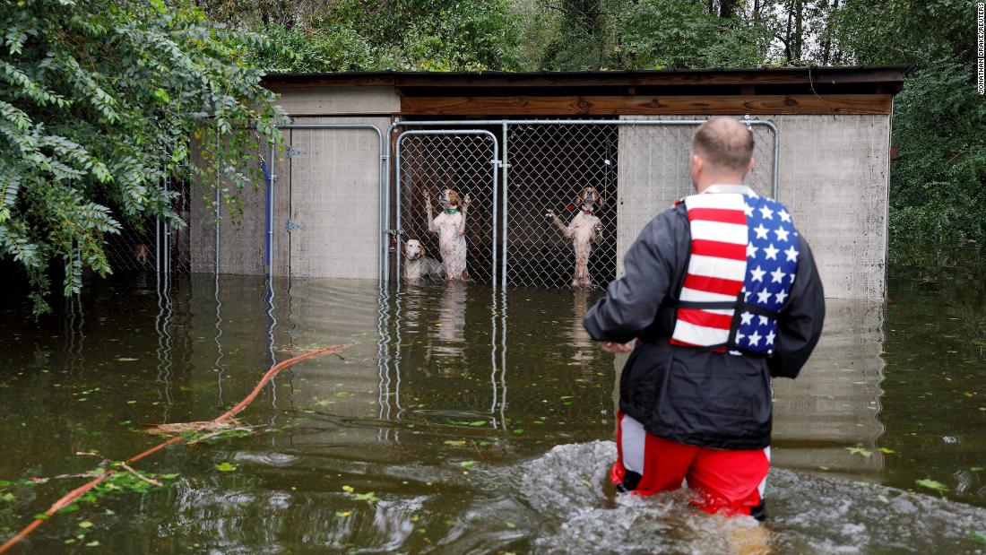 Panicked dogs left caged by their owner are rescued by volunteer Ryan Nichols in Leland, North Carolina, on September 16.