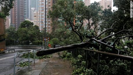 A fallen tree caused by Typhoon Mangkhut lies on a footpath in Hong Kong, Sunday, Sept. 16, 2018. Hong Kong and southern China hunkered down as strong winds and heavy rain from Typhoon Mangkhut lash the densely populated coast. The biggest storm of the year left at least 28 dead from landslides and drownings as it sliced through the northern Philippines. (AP Photo/Vincent Yu)