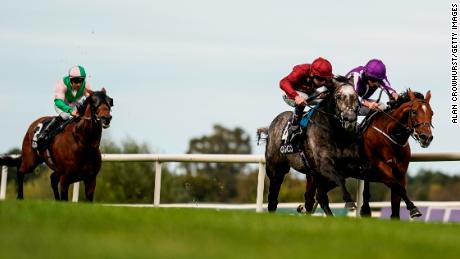 Saxon Warrior is to retire after badly damaging a tendon.