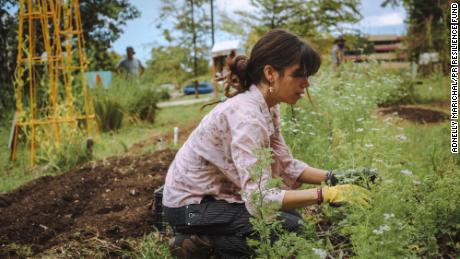 A volunteer with the Resilience Fund, working to rescue Puerto Rico's farms and local food supply after Maria. 