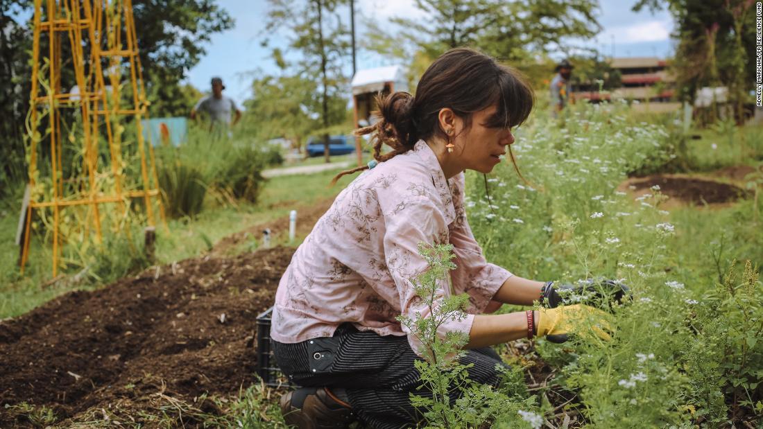 A volunteer with the Resilience Fund, working to rescue Puerto Rico's farms and local food supply after Maria. 