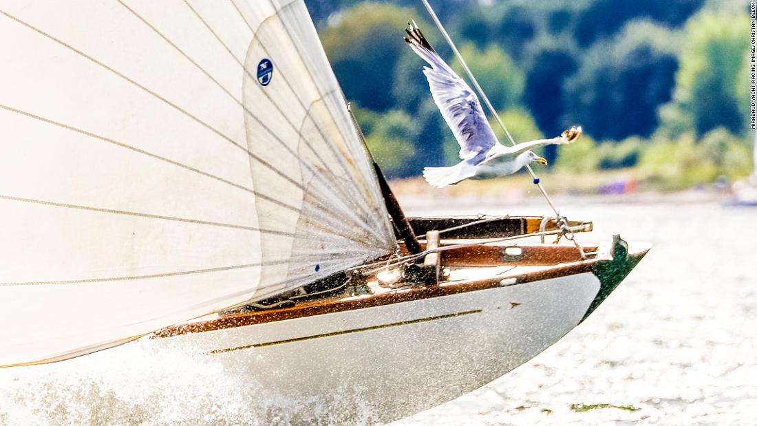 Christian Beeck captured the race between a boat and a seagull during the German Classics regatta in Kiel-Friedrichsort.