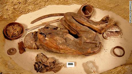 pharaohs mummified bodies ancient prehistoric egyptians mummy egyptian years 1500 museo egizio