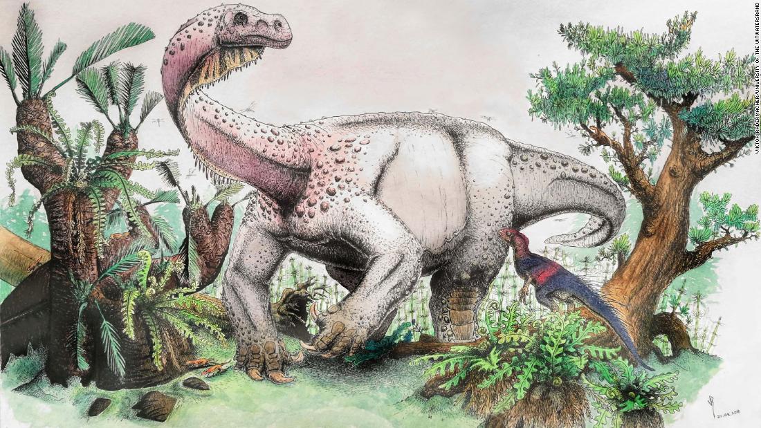 This artist&#39;s illustration shows the newly discovered dinosaur species Ledumahadi mafube foraging in the Early Jurassic of South Africa. Heterodontosaurus,another South African dinosaur, can also be seen in the foreground.