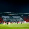 stadiums red star belgrade
