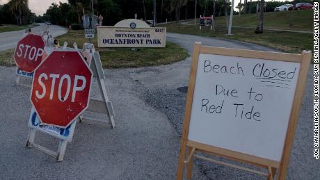 Oceanfront Park in Boynton Beach, Florida, was closed Thursday because of red tide. 