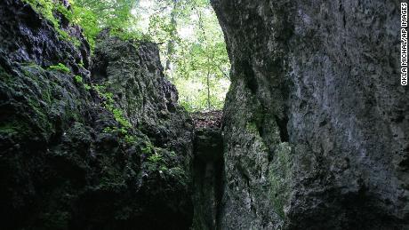 Bones reveal Neanderthal child was eaten by a giant bird