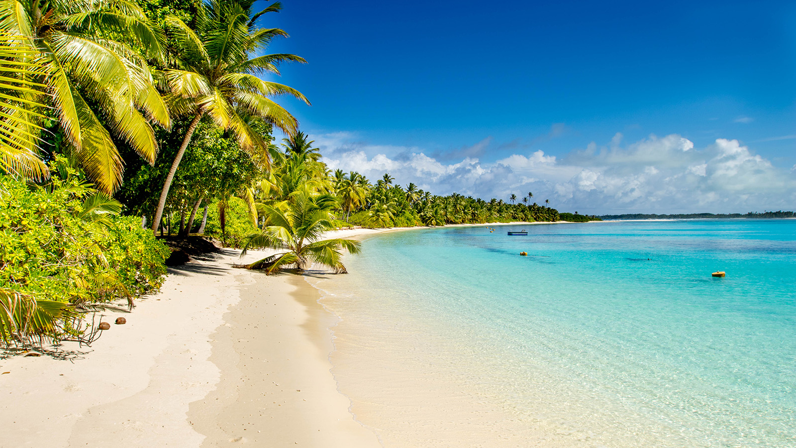 Australia's best beaches: 10 places with superb sand 'n' surf ...