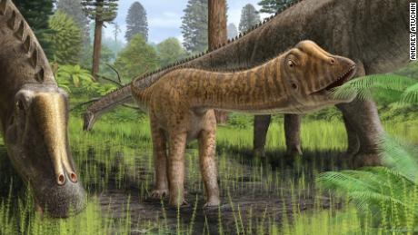 Rare baby dinosaur fossil is full of surprises