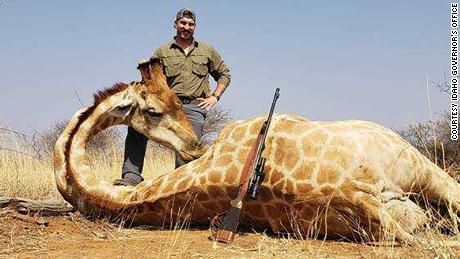 Fischer and his wife posed with several dead animals, including a giraffe and a leopard. 