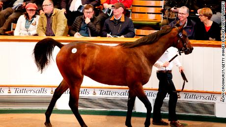 Lot 30, a bay filly by Galileo sells for 1,300,000 guineas to John Magnier during the Tattersalls auction sales in October  2015 in Newmarket.