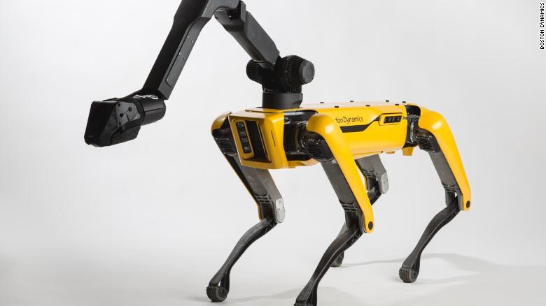 pictures of robot dogs