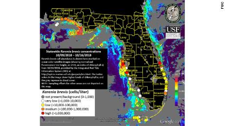 The latest red tide forecast for Florida.