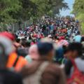14 migrant caravan 1018