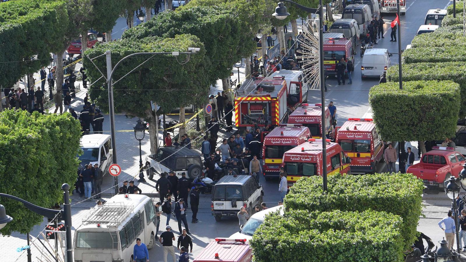 Tunis explosion: 9 injured when woman blows herself up in Tunisia's ...