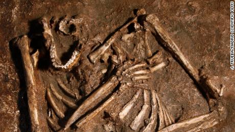 Neanderthals may not be the hunched cavemen we thought they were, the study says