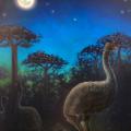 ancient finds giant nocturnal birds