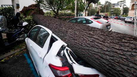 A car is crushed under a fallen tree after it was knocked down by heavy winds in Rome on Monday.