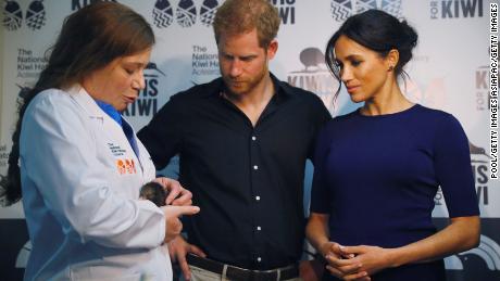 Prince Harry and Meghan, Duchess of Sussex look at kiwi chicks during their tour of the National Kiwi Hatchery at Rainbow Springs.