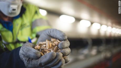 The biomass pellets used at Drax