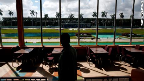 Greyhounds race at the Palm Beach Kennel Club in West Palm Beach, Florida.