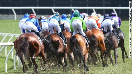 Horses jockey for position during the Melbourne Cup. 