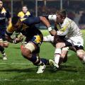 christian scotland-williamson worcester warriors rugby