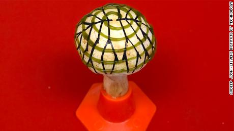 Meet the bionic mushroom that can generate electricity