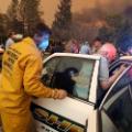 08 california wildfire 1108 camp fire