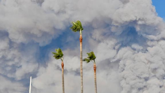 Smoke billows above Malibu trees in this photo <a href=