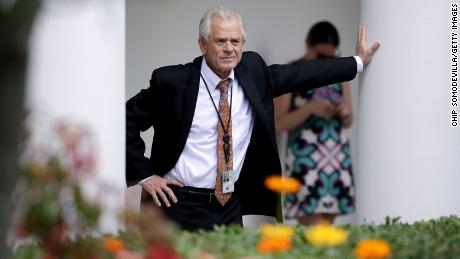 White House adviser Navarro warns Wall Street 'globalists' over China 