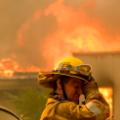 21 california wildfires 1109